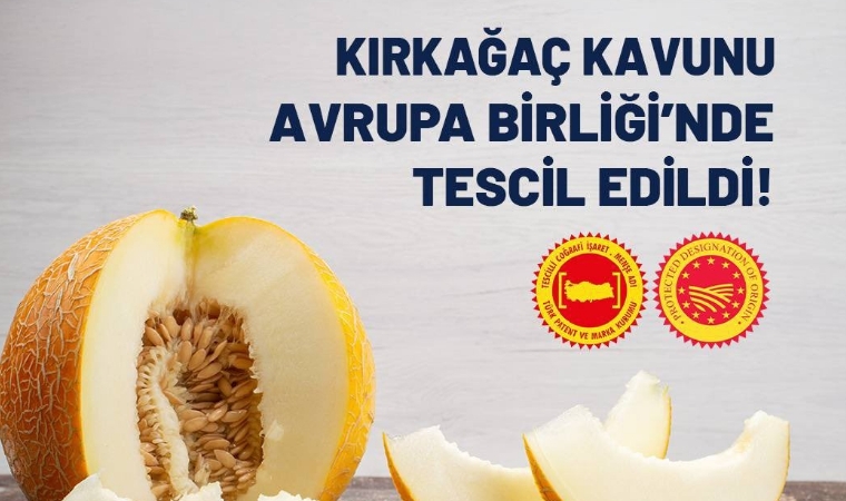 Malatya Kayısısının İzinde Mut Zeytinyağı Ve Kırkağaç Kavunu
