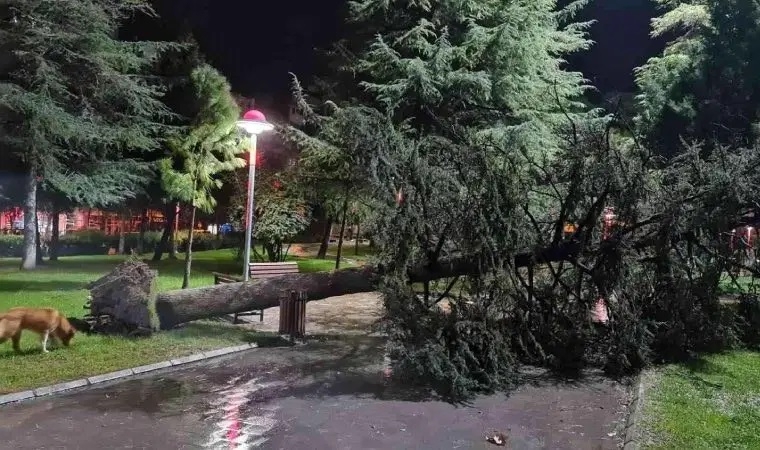 Malatya’da Şiddetli Rüzgar Ve Fırtına Alarmı: 3-4 Temmuz’da Tedbir Şart!