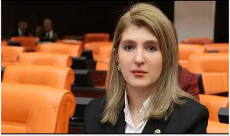 Milletvekili Mi, Medya Yüzü Mü?