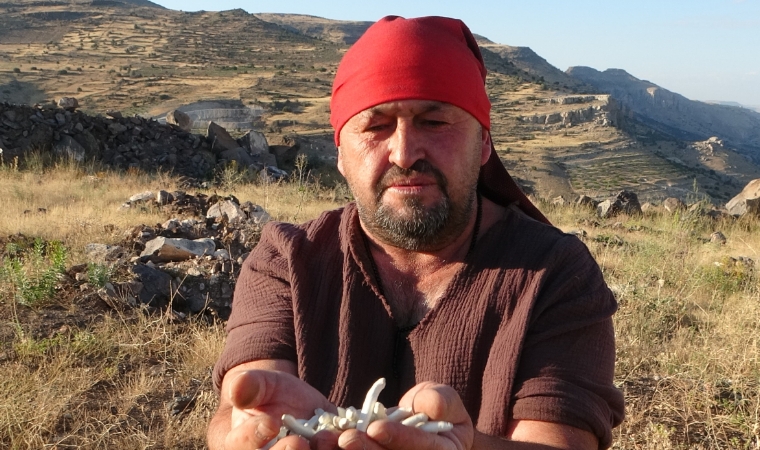 Malatya’nın Dağlarında Yetişiyor, Kilosu Dudak Uçuklatıyor!