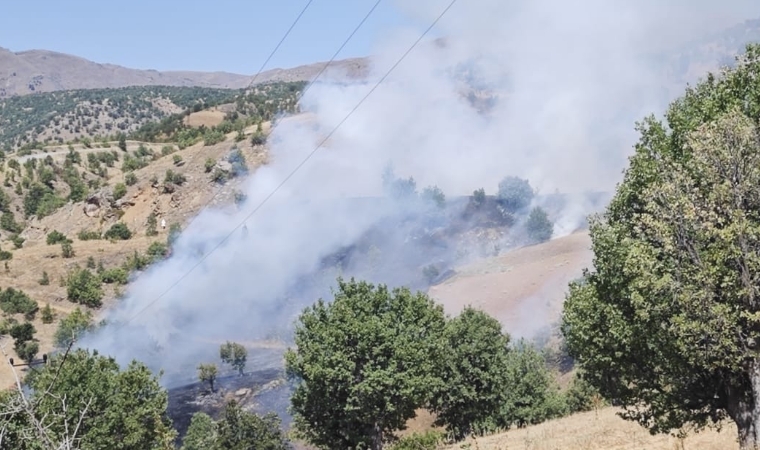 Malatya’nın Pütürge İlçesinde Alevler Ormanı Sardı