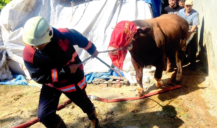 Ahırda Çıkan Yangın Görenleri Şoke Etti