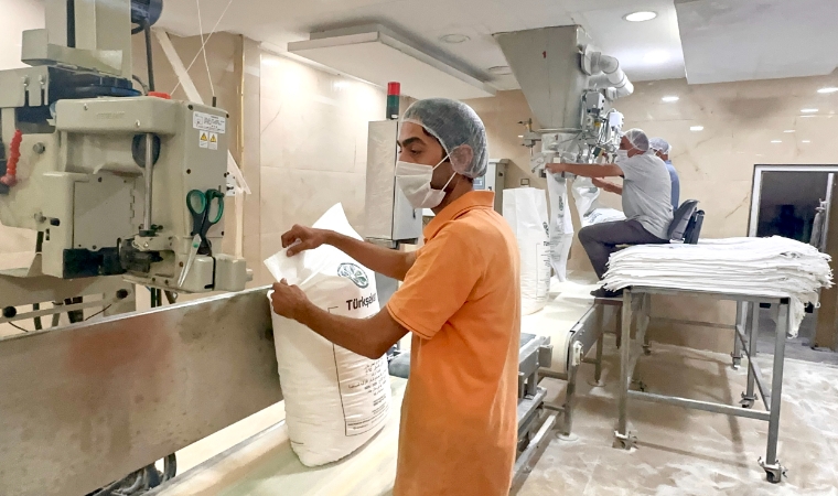 Malatya’da Pancar Bereketi! Hedef 500 Bin Ton