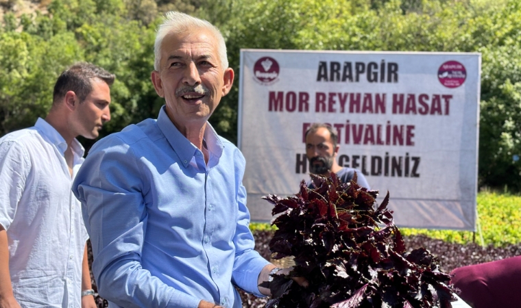Mor Reyhan’ın Büyüsü Arapgir’i Sardı: Hasat Bayram Gibi Kutlandı!