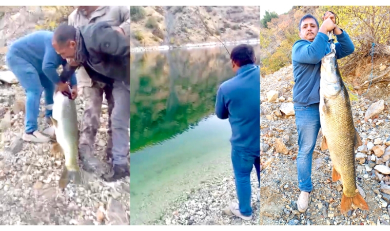 Doğanyol’da Barajdan Dev Balık Çıktı: O Anlar Kamerada