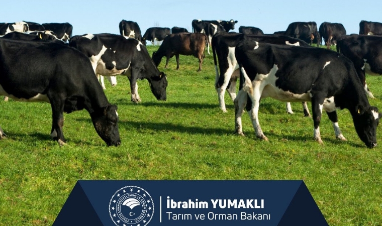 Tarımda Destek! 471 Milyon Liralık Ödeme Çiftçilerin Hesabında