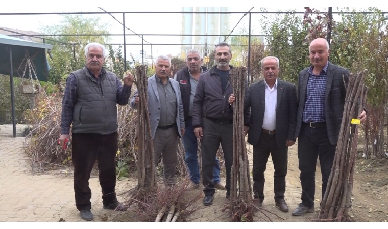 Fidancılar Kooperatifi Başkanı Açıkladı: Fidan Fiyatları Belli Oldu