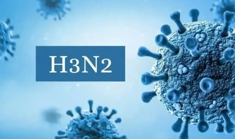 Bu Yıl Grip Sezonunda Influenza H3N2 Virüsü Başrolde
