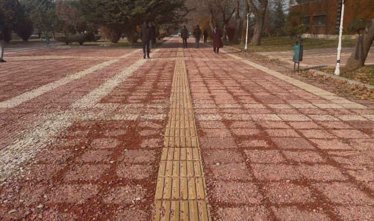 İnönü Üniversitesinin Meşhur Pembe Yolu Tanınmaz Hale Geldi