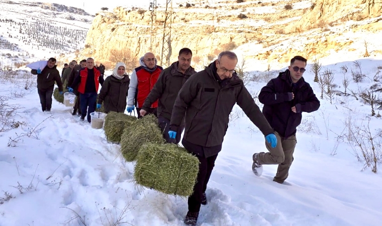 Kış Şartlarında Aç Kalan Yaban Hayvanlarına Devlet Eli Uzandı