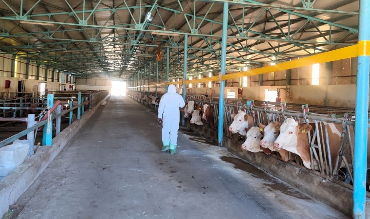 Malatya'da Hayvancılık İşletmeleri Mercek Altına Alındı! Kapasiteler Tek Tek Belirleniyor