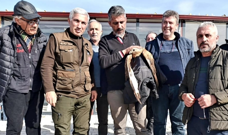 Malatya'da Yaralı Kızıl Şahin İçin Seferber Oldular