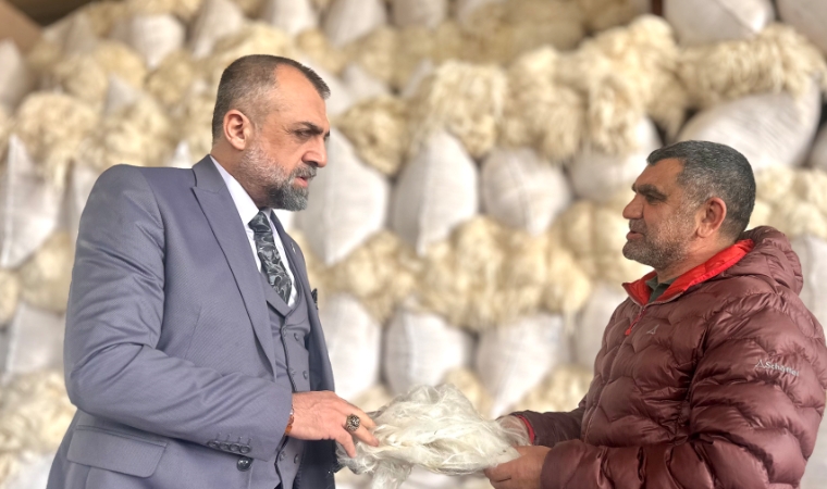 Çöpe Giden Yünler Servete Dönüşüyor: Malatya’dan Dünyaya Yün İhracatı Başladı