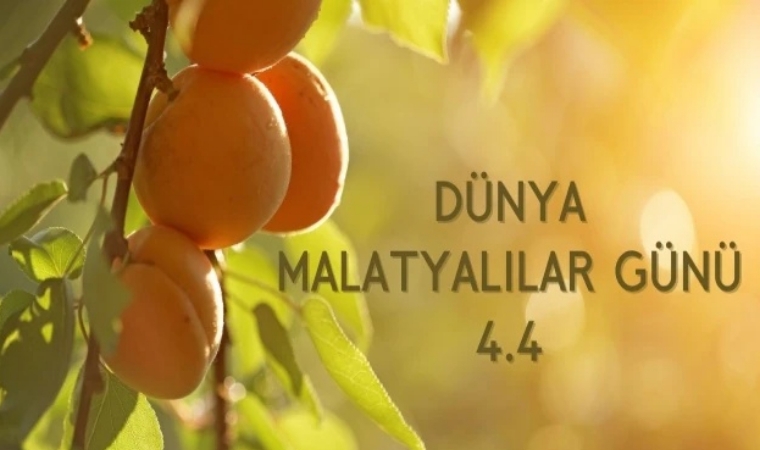 Doğan DAĞ / Külüyle, Kültürüyle ve 44 Ruhuyla Yeniden Malatya