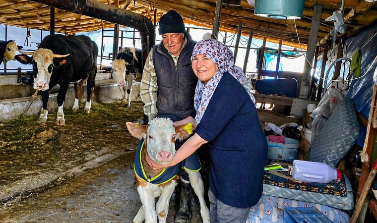 Yaşasın Buzağılar Projesiyle Malatya’da Hayvancılığa Can Suyu Veriliyor