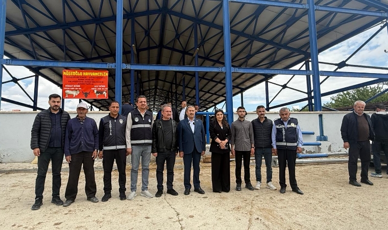 Kurban Bayramı Öncesi Darende Hayvan Pazarında Yoğunluk Önceki Yılları Geride Bıraktı