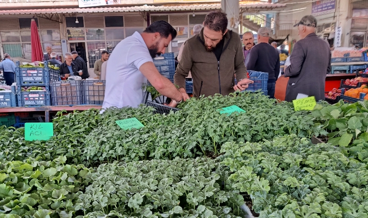 Sebze Fiyatlarından Kaçan Darende Pazarına Koştu