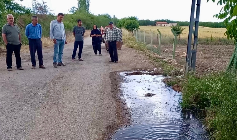 Rögarlardan Taşan Kanalizasyon Suları Sebze Bahçelerini ve Ekili Alanları Vurdu!
