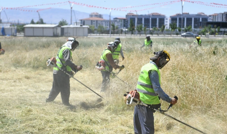 Yeşilyurt Belediyesi Yangın ve Haşere Tehdidine Karşı Harekete Geçti