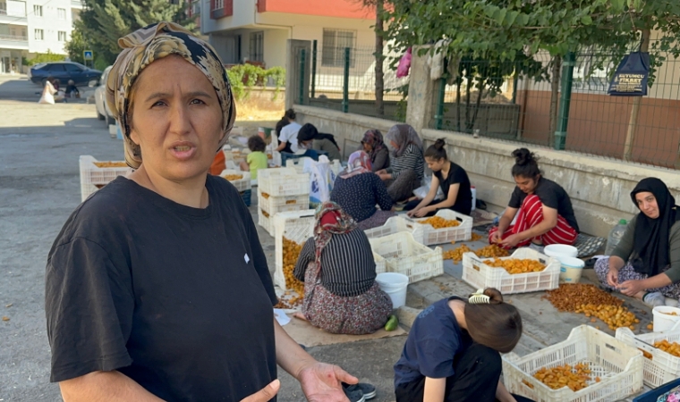 Kayısı Çavuşu Pınar Hanım'dan Başkanlar Sami Er ve Bayram Taşkın'a Davet: Emekçi Kadınlar Olarak Sizleri Ağırlamak İsteriz
