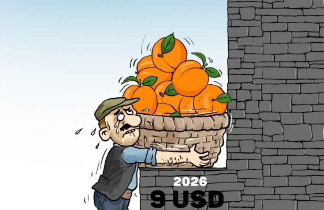 Kayısıda Rekor Fiyatın Arkasındaki Gizli Tehlike Açığa Çıktı