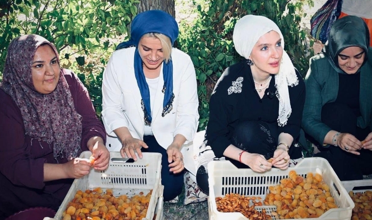 Milletvekili Ölmeztoprak Sütlüce Mahallesinde Kadınların Kayısı Mesaisine Katıldı