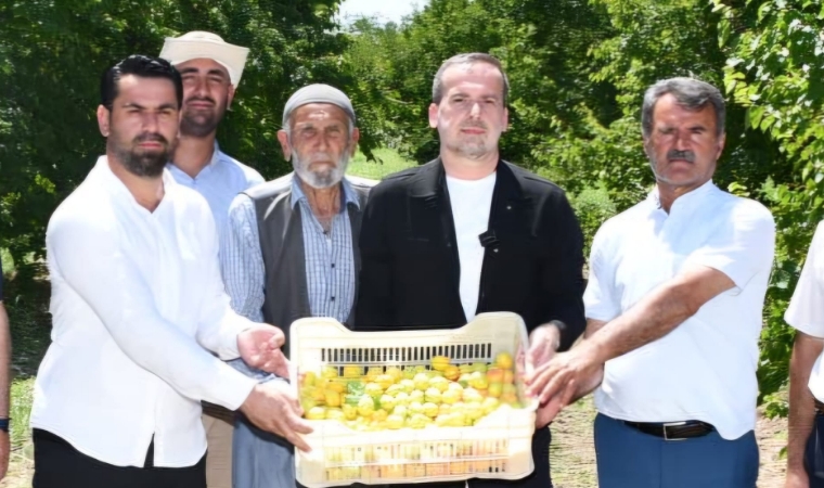 Salih Karademir Toprak Mahsulleri Ofisini Acil Kayısı Alımına Davet Etti