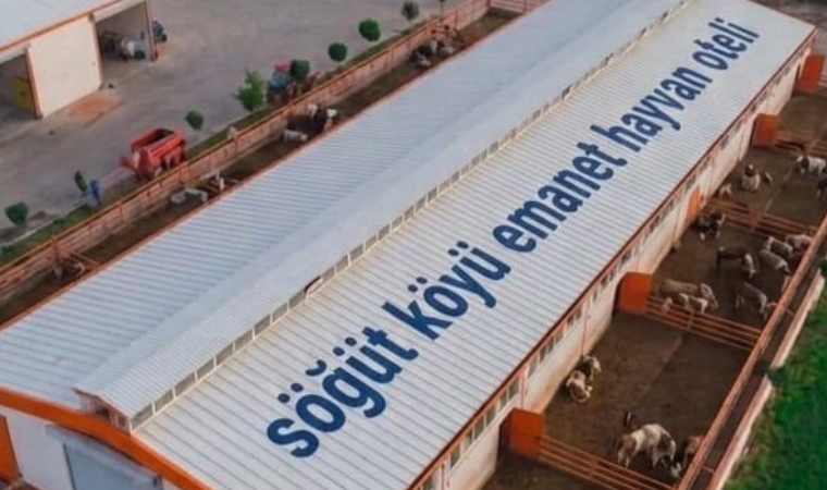 Tarım Bakanlığının Pilot Uygulaması Olan Tesis Üreticileri Sevindirdi