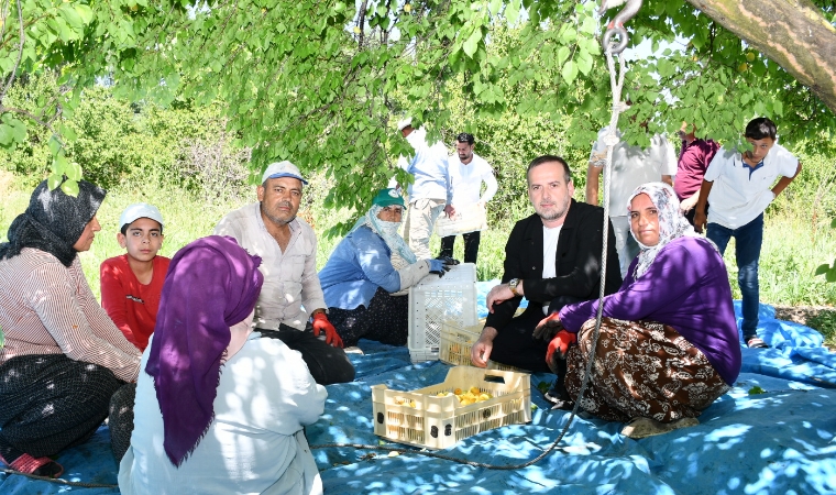 Üreticinin Sabrı Kalmadı.. Maliyetler Karşısında Fiyatlar Çok Yetersiz!