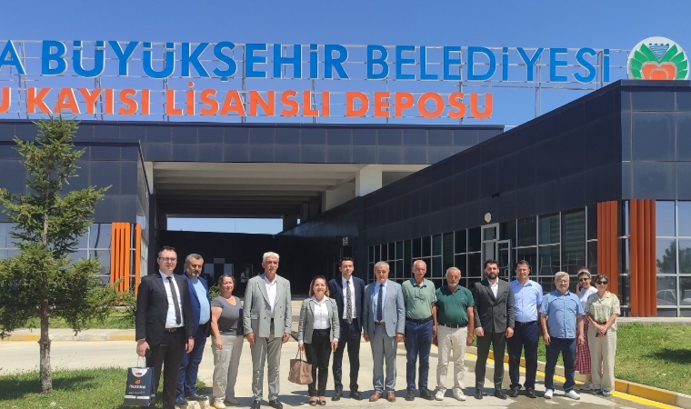 Kayısıda Fiyat İstikrarı İçin Yeni Dönem Başlıyor