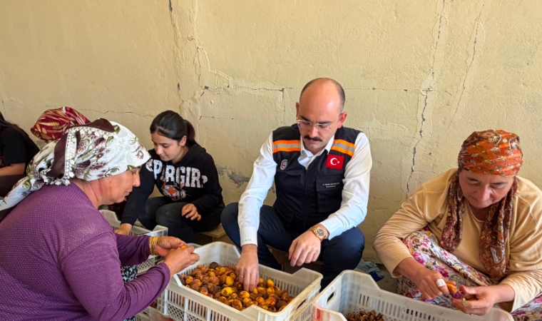 Kaymakam Sungur Tarlaya İndi! Üreticilerin Taleplerini Yerinde Dinledi