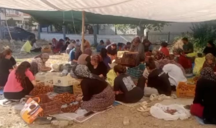 Malatyalı Üretici Kadınların Kayısı Mesaisine Teknolojik Gölge Düştü