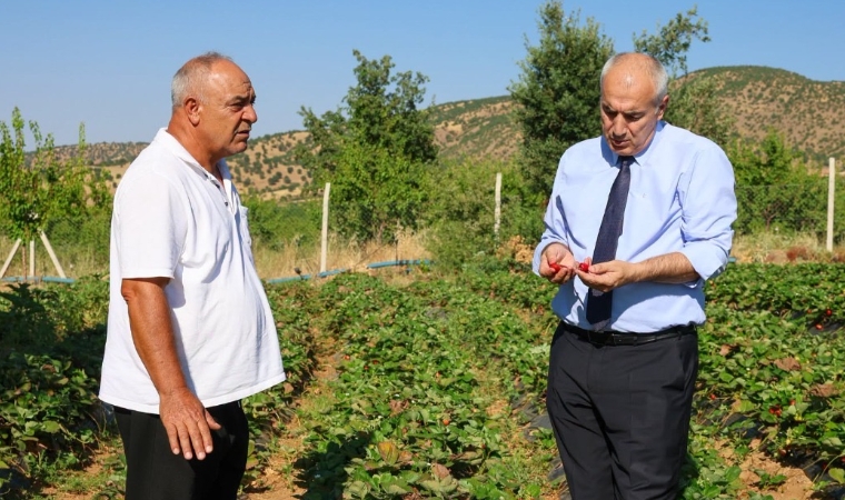 Pütürge'de Çilek ve Salep Üreten Çiftçiye İl Müdüründen Yakın Markaj