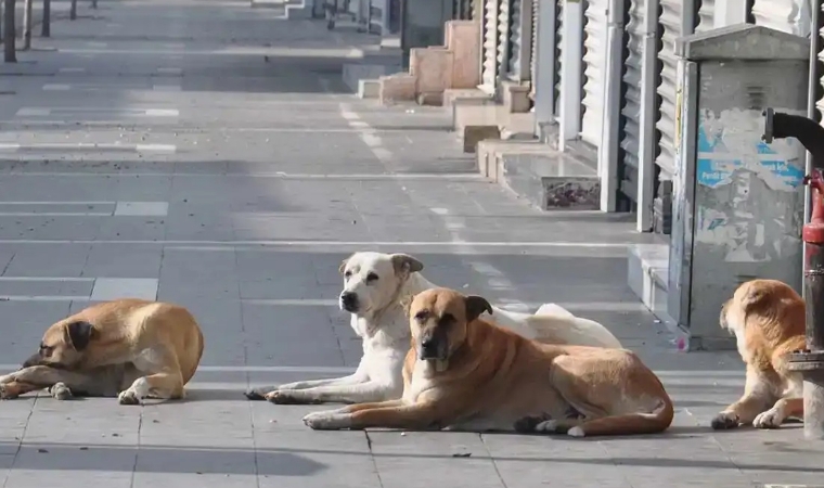 Malatya’da Belediyeler Dikkat: İki Bakanlık Harekete Geçti!