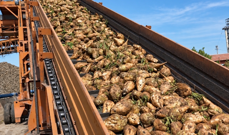 Malatya’da Şeker Sezonu Hızlandı: Fabrikada 5 Bin 500 Ton Şeker Üretildi