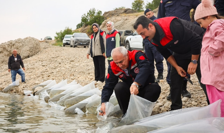 Göletlere Bırakılan Milyonlarca Balık Yavrusu Suları Şenlendirdi