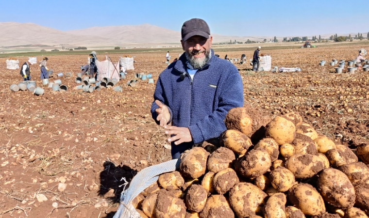 Malatya’da 3 Bin Dönümlük Patates Hasadı! Hedef 20 Bin Ton