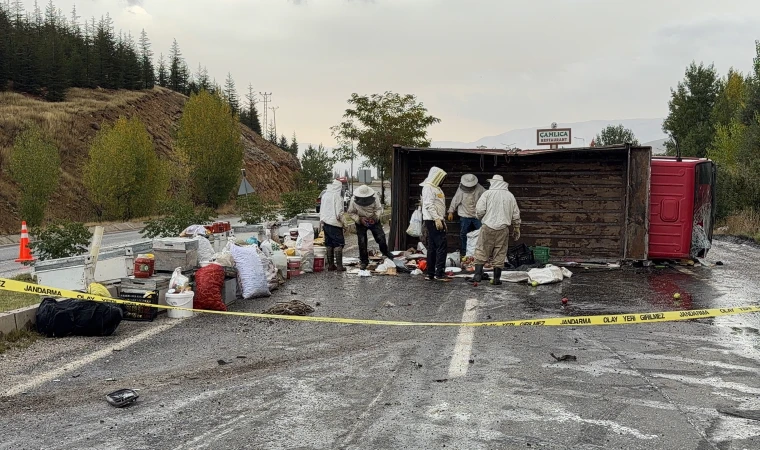 Malatya'da Arı Kovanı Yüklü Kamyon Devrildi: Kazada 3 Kişi Yaralandı