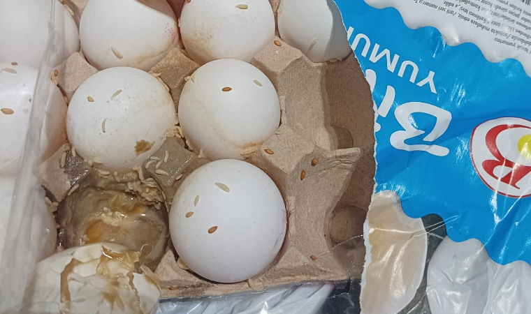 Malatya'da Bir Marketten Alınan Yumurta Kolisinden Çıkan Görüntüler Mide Bulandırdı! Yetkililer Nerede?