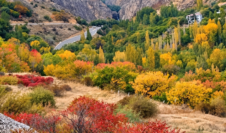 Malatya'nın Saklı Cennetinde Görsel Şölen Başladı! Renklerin Armonisi Herkesi Büyüledi