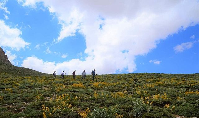 Nurhak dağlarında özgürlük şarkıları söylemek