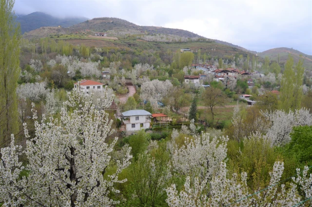 Gündüzbey’i kurtaramadık