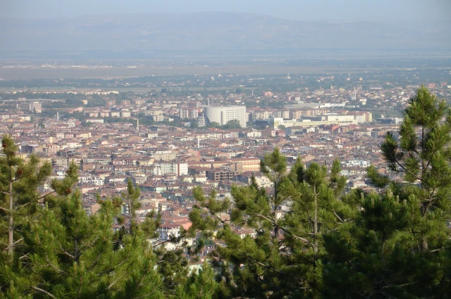 Şehir Hayatı, Kültürel Yozlaşma ve Biz