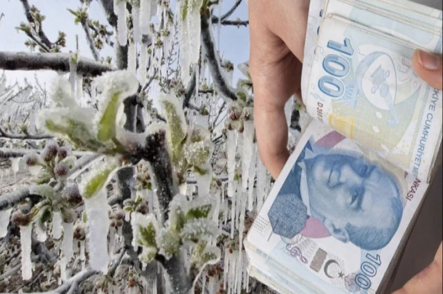 Destek Sözü, Tarih Güncellemesi ve Malatya Gerçeği: Zirai Don Mağdurları Yine Beklemede