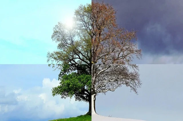 “Yeni bir Dünya Kurulur”….mu?