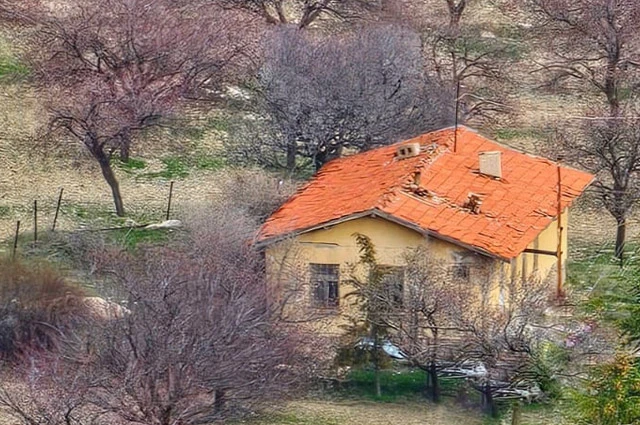 Bir garip ölmüş diyeler