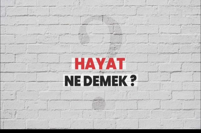 Hayat Nedir?