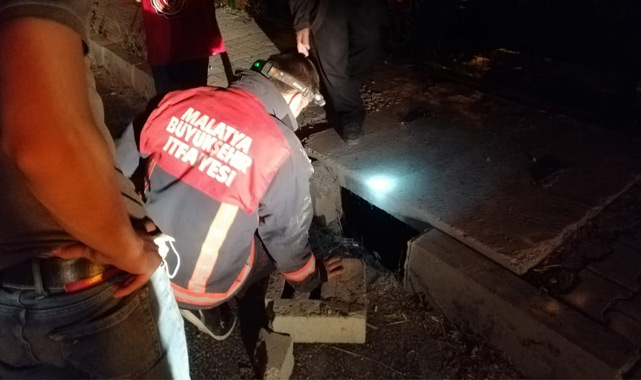 İtfaiyecilerin kedi kurtarma operasyonu!..