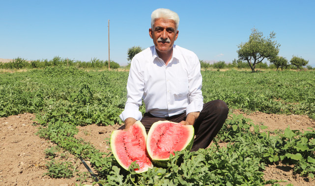 Kaliteli karpuzun sırrı!