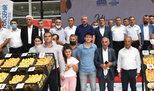 Malatya Kayısı Festivali'nde kayısılar yarıştı
